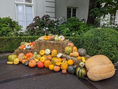 A variety of colorful pumpkins and gourds arranged on hay bales in a garden setting.