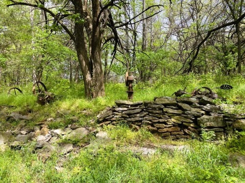 Overgrown stone wall in a forest, with old machinery and greenery surrounding it.