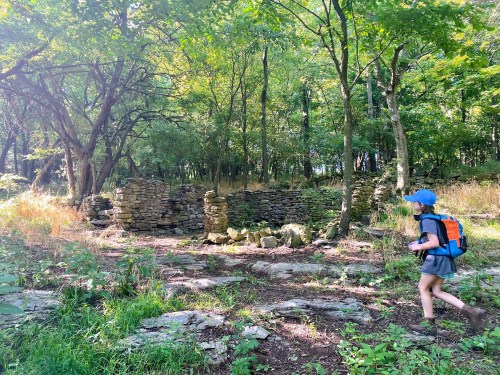 A hiker walks past stone ruins in a lush, green forest on a sunny day.