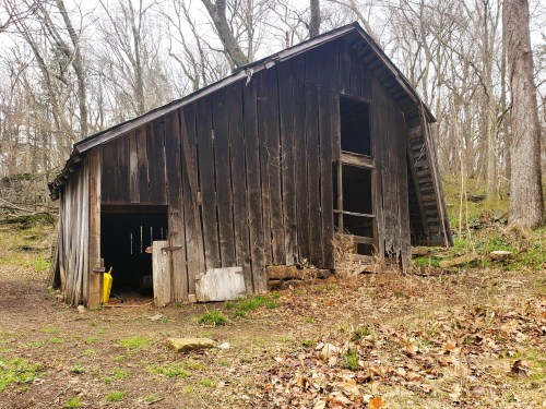 A weathered wooden barn leaning on a hillside, surrounded by bare trees and scattered leaves.