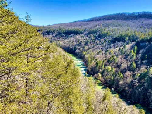 A scenic view of a winding river surrounded by lush green trees and rolling hills under a clear blue sky.