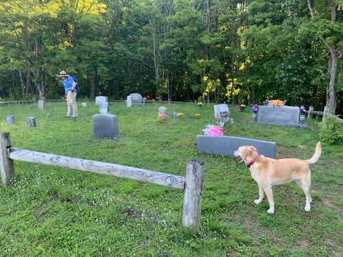 A person in a hat stands in a cemetery, while a dog watches nearby among gravestones and flowers.