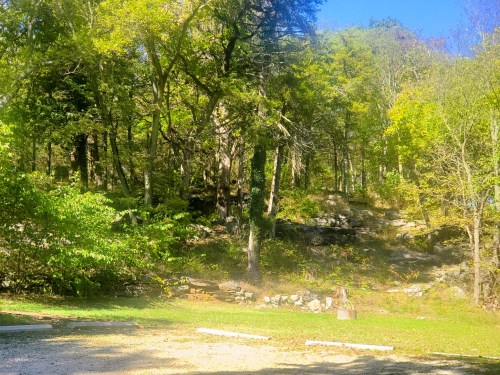 Lush green forest with trees and rocky terrain under a clear blue sky. A grassy area is visible in the foreground.