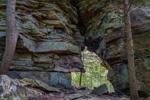 A natural rock formation with a large arch, surrounded by trees and greenery in a forested area.
