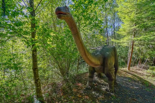 A life-sized dinosaur statue resembling a long-necked sauropod, surrounded by lush green trees in a forest setting.