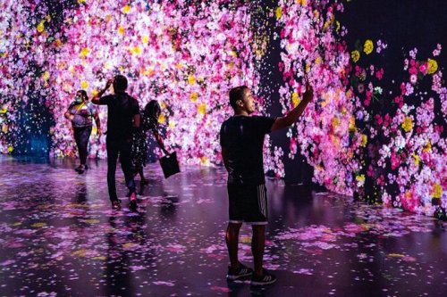 A vibrant art installation with colorful flower projections on walls and floor, featuring visitors interacting with the display.