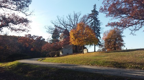 A scenic view of a winding path lined with trees in autumn colors, leading to a small building on a grassy hill.
