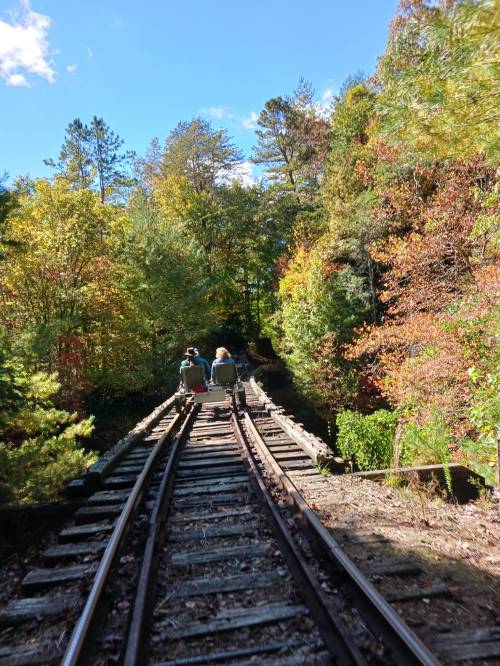 Two people walk along a wooden railway track surrounded by colorful autumn trees under a clear blue sky.