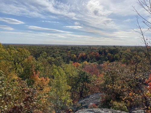 A panoramic view of a colorful forest with autumn foliage under a partly cloudy sky.
