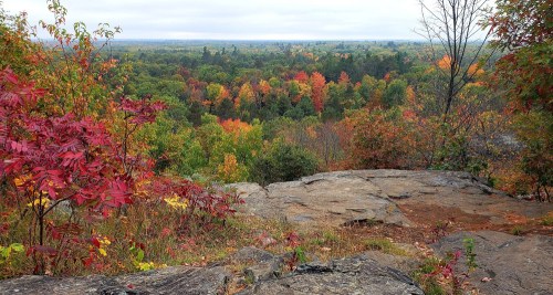 A scenic view from a rocky overlook, showcasing vibrant autumn foliage in various colors across a vast landscape.
