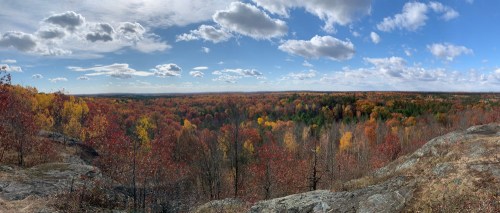 A panoramic view of a vibrant autumn landscape with colorful trees and a clear blue sky.