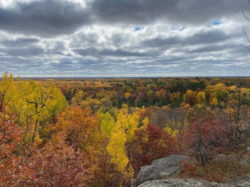 A panoramic view of a vibrant autumn forest with colorful leaves under a cloudy sky.