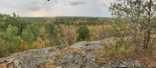 A panoramic view of a forested landscape with autumn foliage, rocky foreground, and overcast skies.