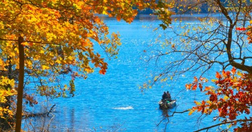 A serene lake scene with vibrant autumn leaves and two people in a small boat on the water.