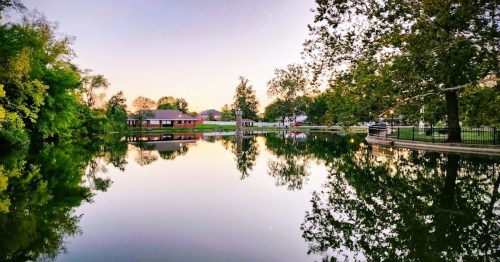 A serene lake reflecting trees and a sunset, with a small gazebo and buildings in the background.