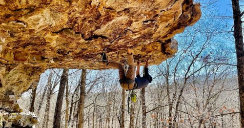 A climber hangs upside down from a rocky overhang in a forested area, surrounded by bare trees and blue sky.