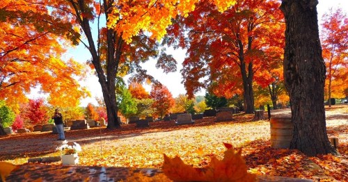 A serene cemetery scene with vibrant autumn trees and fallen leaves in shades of orange and yellow.