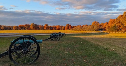 A row of cannons on a grassy field, surrounded by vibrant autumn trees and a cloudy sky.