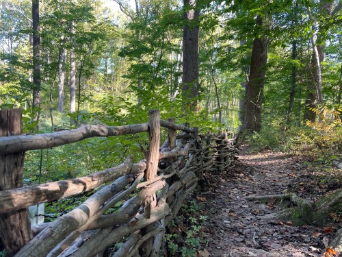 A winding dirt path bordered by a rustic wooden fence, surrounded by lush green trees in a serene forest setting.