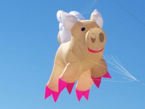 A large, inflatable pig kite with pink hooves and a cheerful expression flying against a clear blue sky.