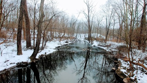 A serene winter scene featuring a calm, reflective stream surrounded by bare trees and patches of snow.