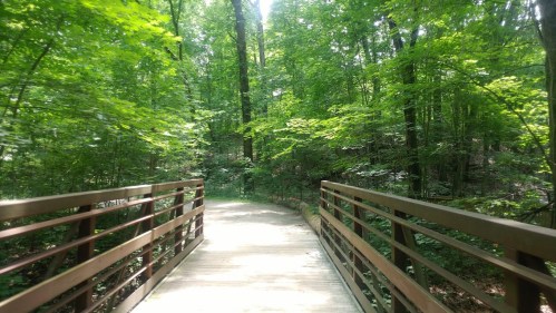 A wooden bridge leads through a lush green forest, surrounded by tall trees and vibrant foliage.