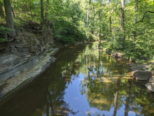 A serene forest scene featuring a calm stream reflecting trees and rocks along its banks.