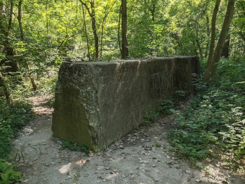 A large, weathered concrete block sits on a forest path, surrounded by lush green trees and foliage.