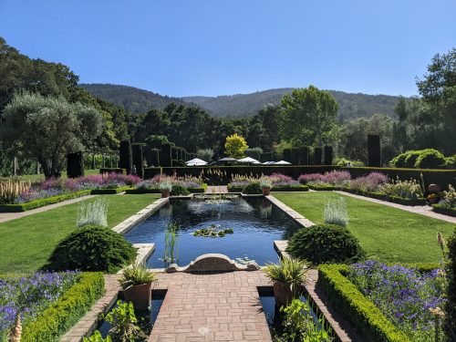 A serene garden with a pond, surrounded by colorful flowers and lush greenery, under a clear blue sky.