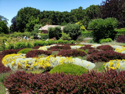 A vibrant garden with colorful flower beds and greenery, featuring a house in the background under a clear blue sky.