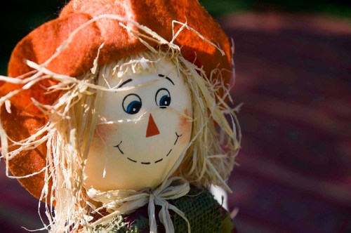 A cheerful scarecrow with a bright orange hat and straw hair, smiling against a blurred background.