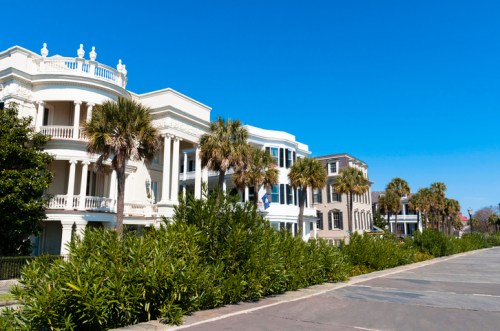 Historic buildings with palm trees line a sunny street under a clear blue sky.