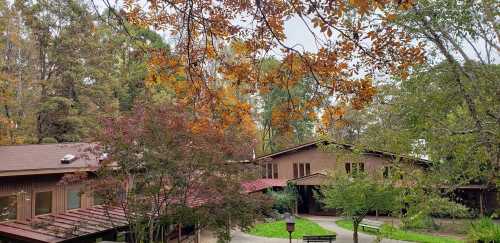 A serene view of a rustic building surrounded by trees with autumn leaves in a peaceful outdoor setting.