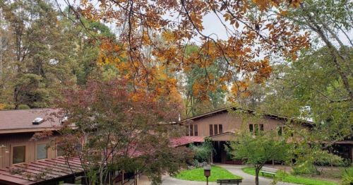 A serene view of a building surrounded by trees with autumn foliage, showcasing a peaceful outdoor setting.