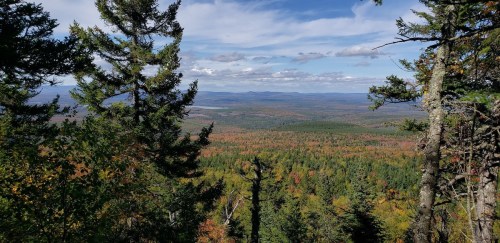 A panoramic view of colorful autumn foliage and distant mountains under a blue sky, framed by evergreen trees.