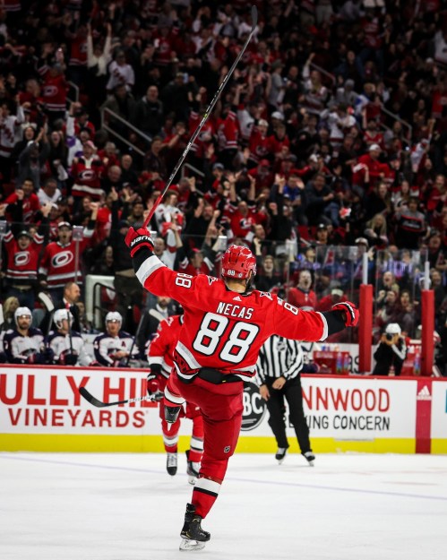 A hockey player in a red jersey celebrates a goal, raising his stick in triumph as fans cheer in the background.