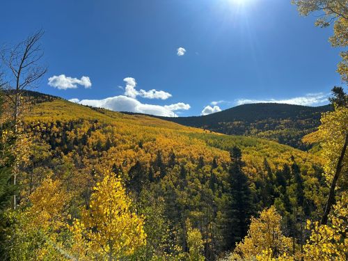 A vibrant landscape of golden autumn trees under a bright blue sky with fluffy clouds and distant mountains.