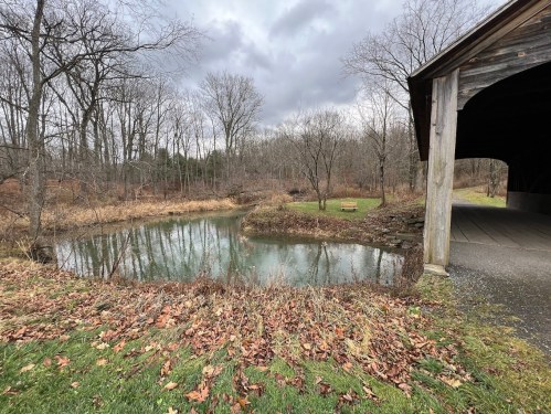 A serene pond surrounded by bare trees and autumn leaves, with a covered bridge in the foreground.