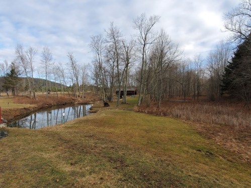 A serene landscape featuring a pond, bare trees, and a grassy area under a cloudy sky.