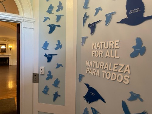 A wall with blue bird silhouettes and text reading "Nature for All" in English and Spanish.
