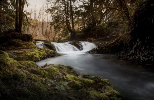 A serene waterfall flows over mossy rocks, surrounded by lush greenery and trees in a tranquil forest setting.
