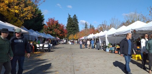 A bustling outdoor market with white tents, colorful autumn trees, and people walking along a paved path.