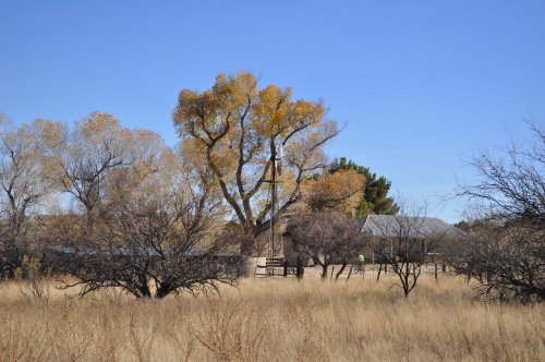 A rural landscape featuring a large tree, dry grass, and a distant building under a clear blue sky.