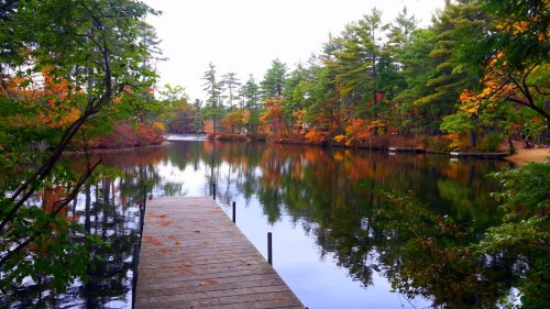 A serene lake surrounded by autumn trees, with a wooden dock extending into the calm water.