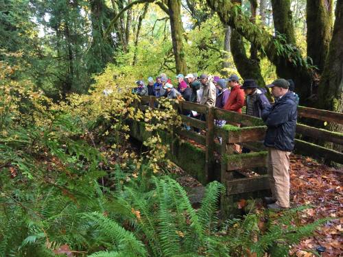 A group of people stands on a wooden bridge in a lush, green forest during autumn, surrounded by colorful foliage.