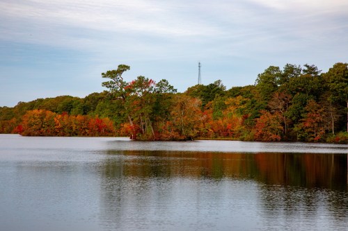 A serene lake surrounded by trees displaying vibrant autumn colors under a cloudy sky.