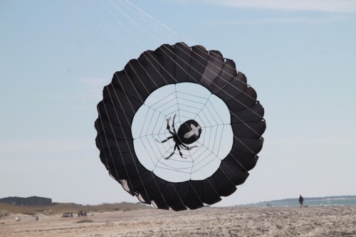 A large black parachute shaped like a spider hangs in the sky over a sandy beach.