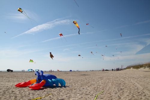 A beach scene with colorful kites flying in the sky and a large blue crab-shaped kite on the sand.