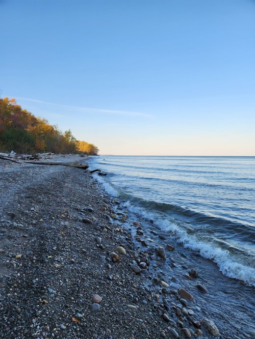 A serene beach scene with gentle waves lapping at a rocky shore, framed by trees under a clear blue sky.