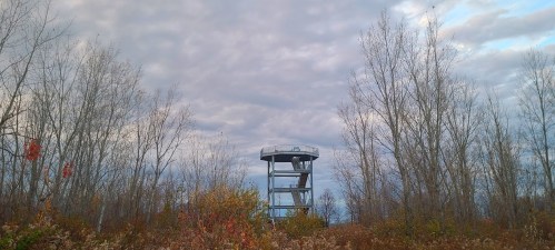 A tall observation tower surrounded by bare trees and colorful foliage under a cloudy sky.